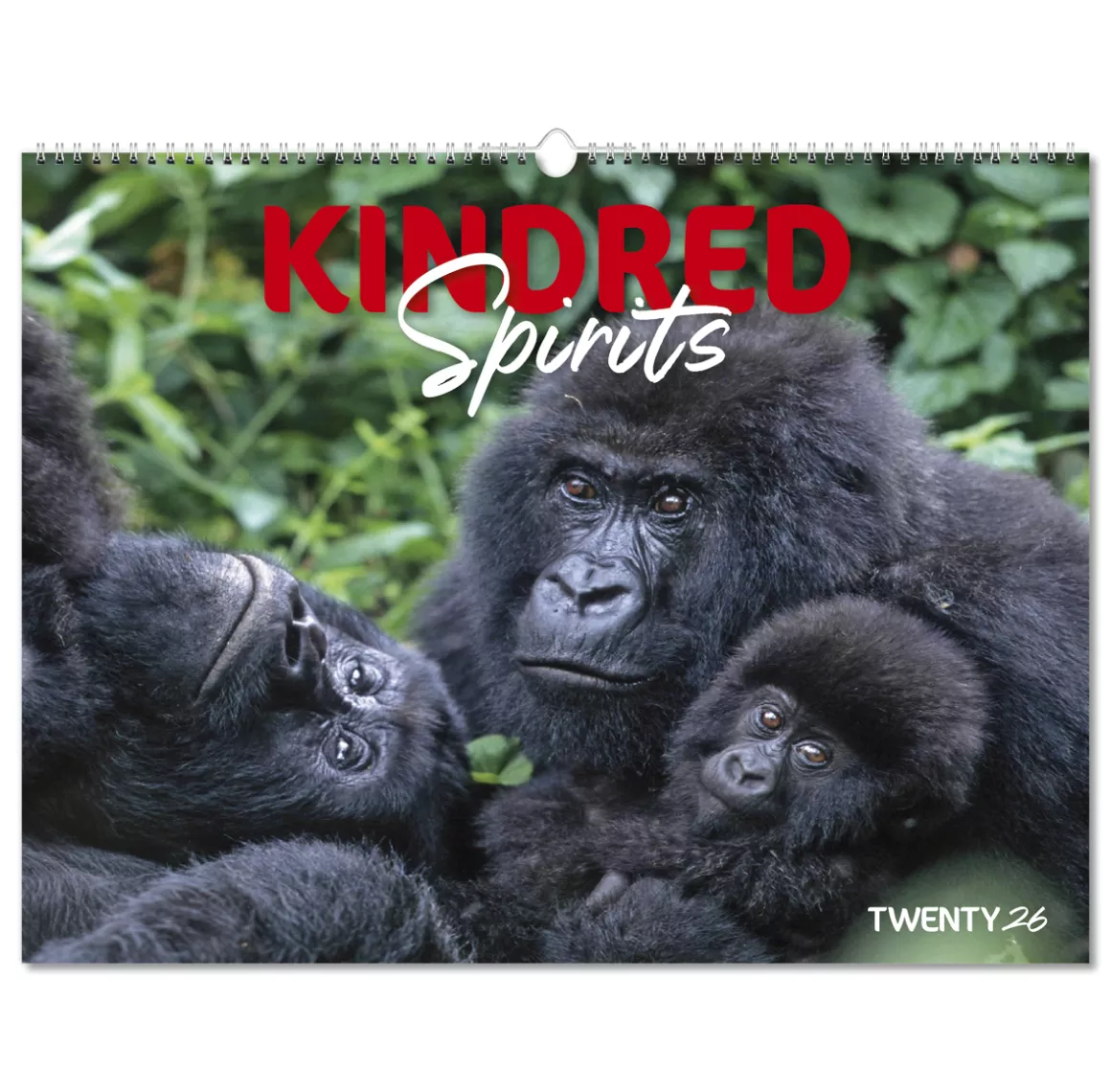 101015-kindred-spirits-wall-calendar-cover-wiro.png