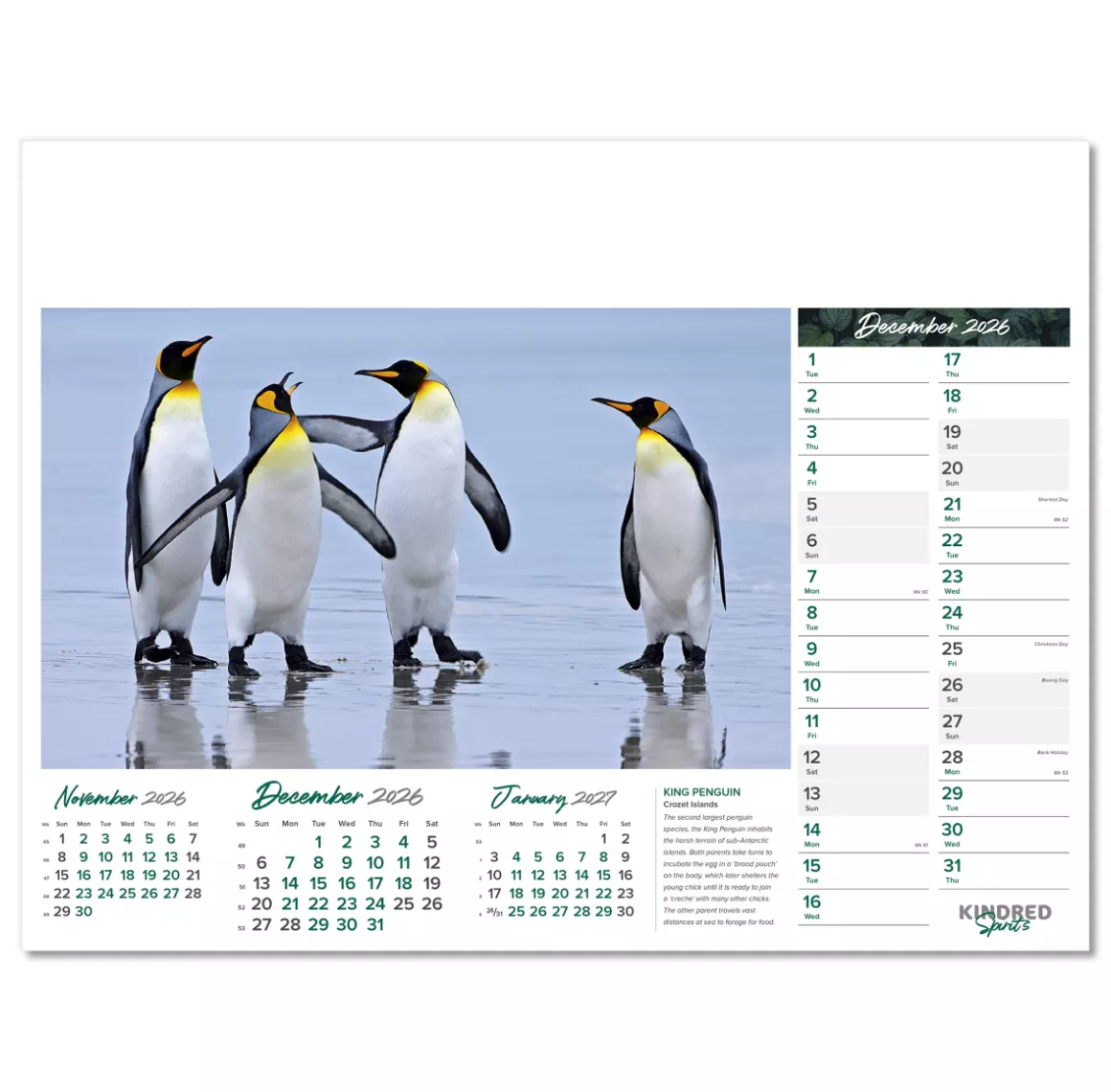 101015-kindred-spirits-wall-calendar-december.png