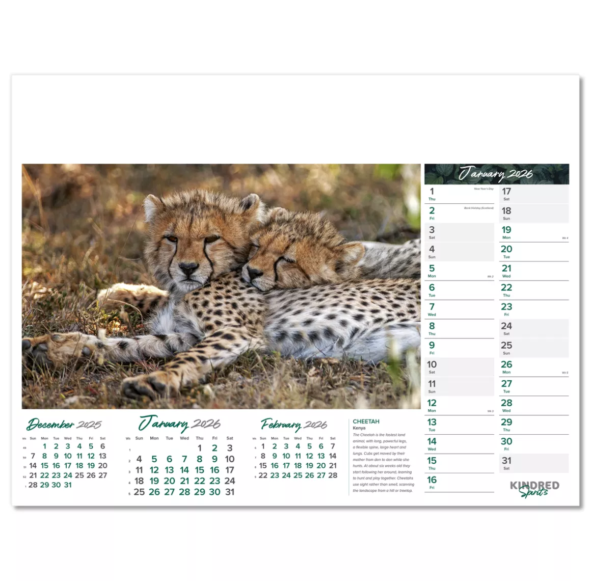 101015-kindred-spirits-wall-calendar-january.png