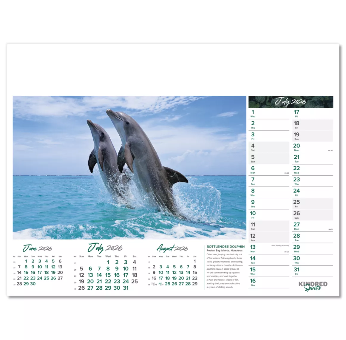 101015-kindred-spirits-wall-calendar-july.png