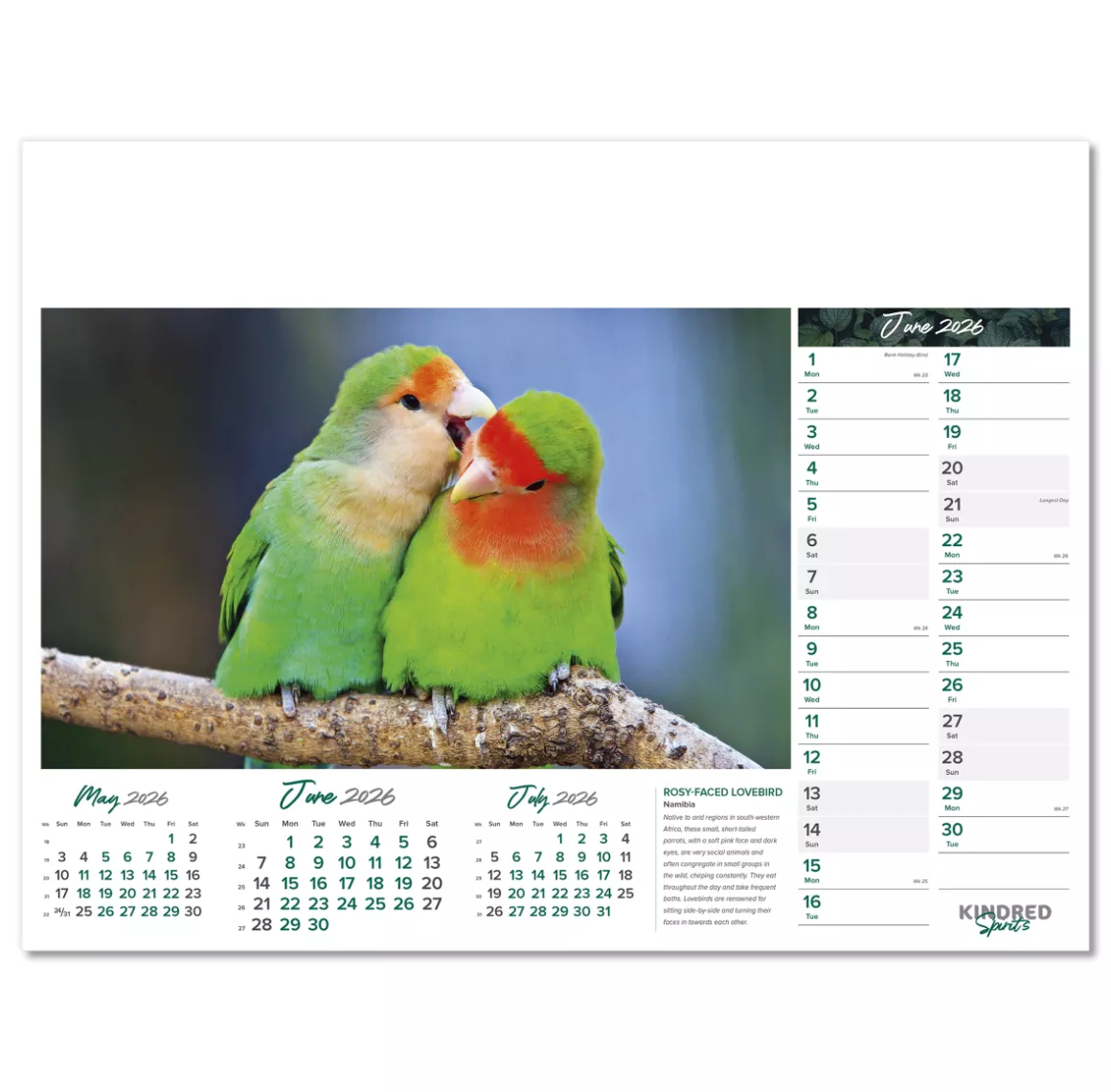 101015-kindred-spirits-wall-calendar-june.png