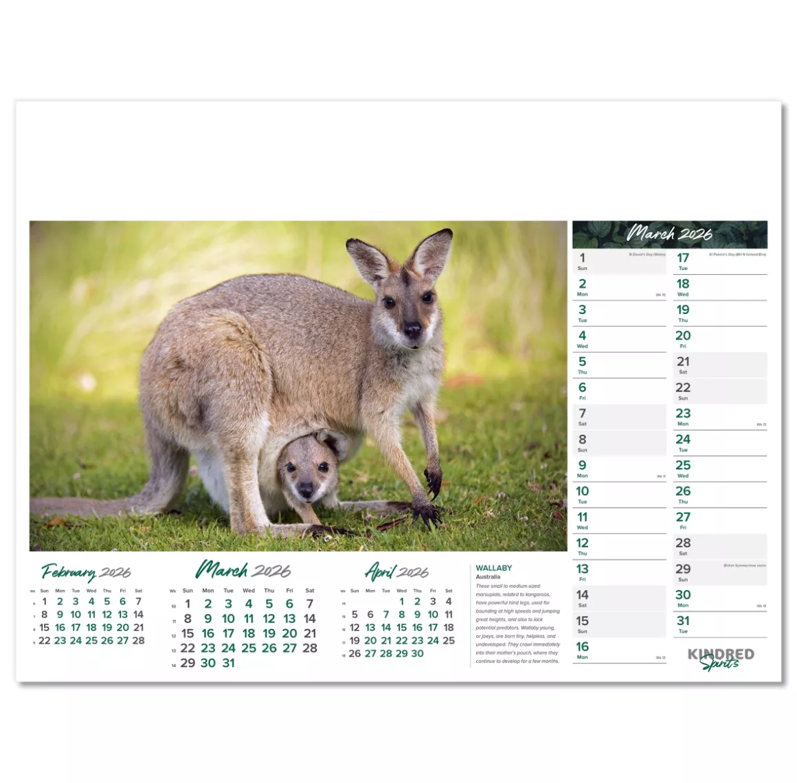 101015-kindred-spirits-wall-calendar-march.png