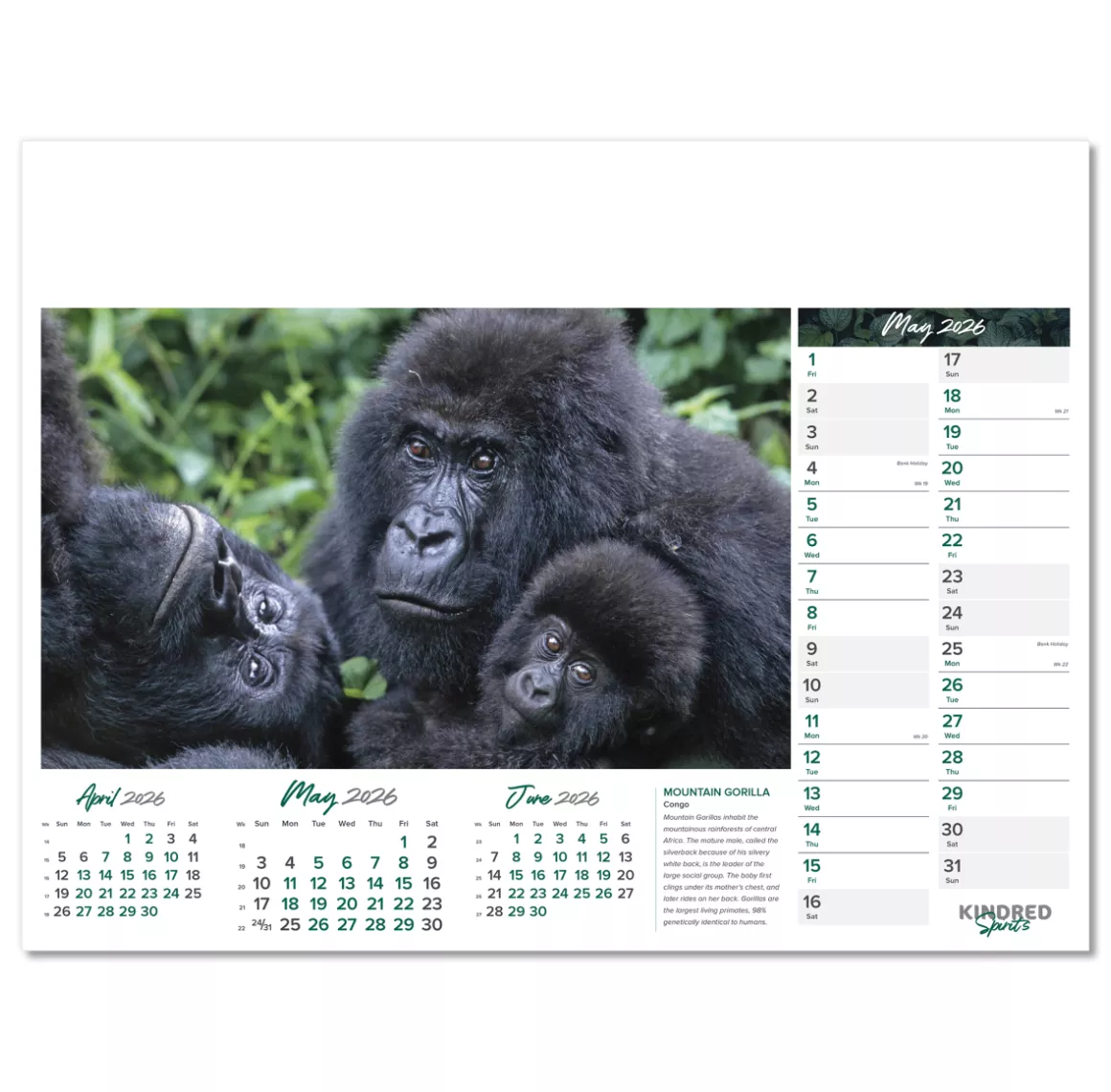 101015-kindred-spirits-wall-calendar-may.png