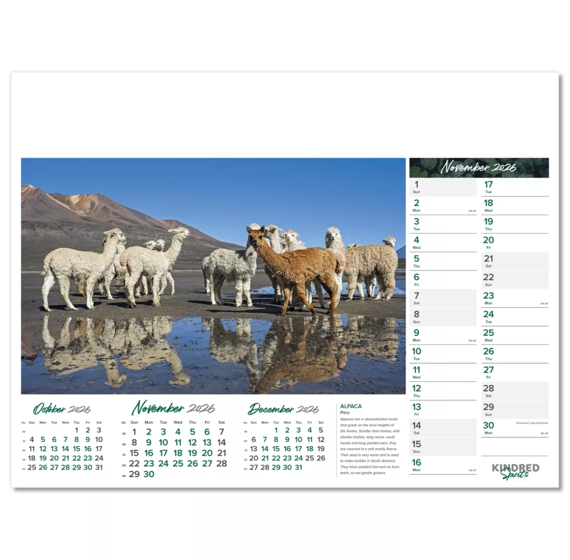 101015-kindred-spirits-wall-calendar-november.png
