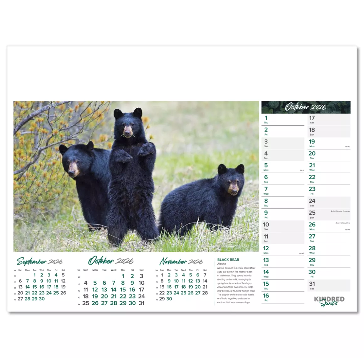 101015-kindred-spirits-wall-calendar-october.png