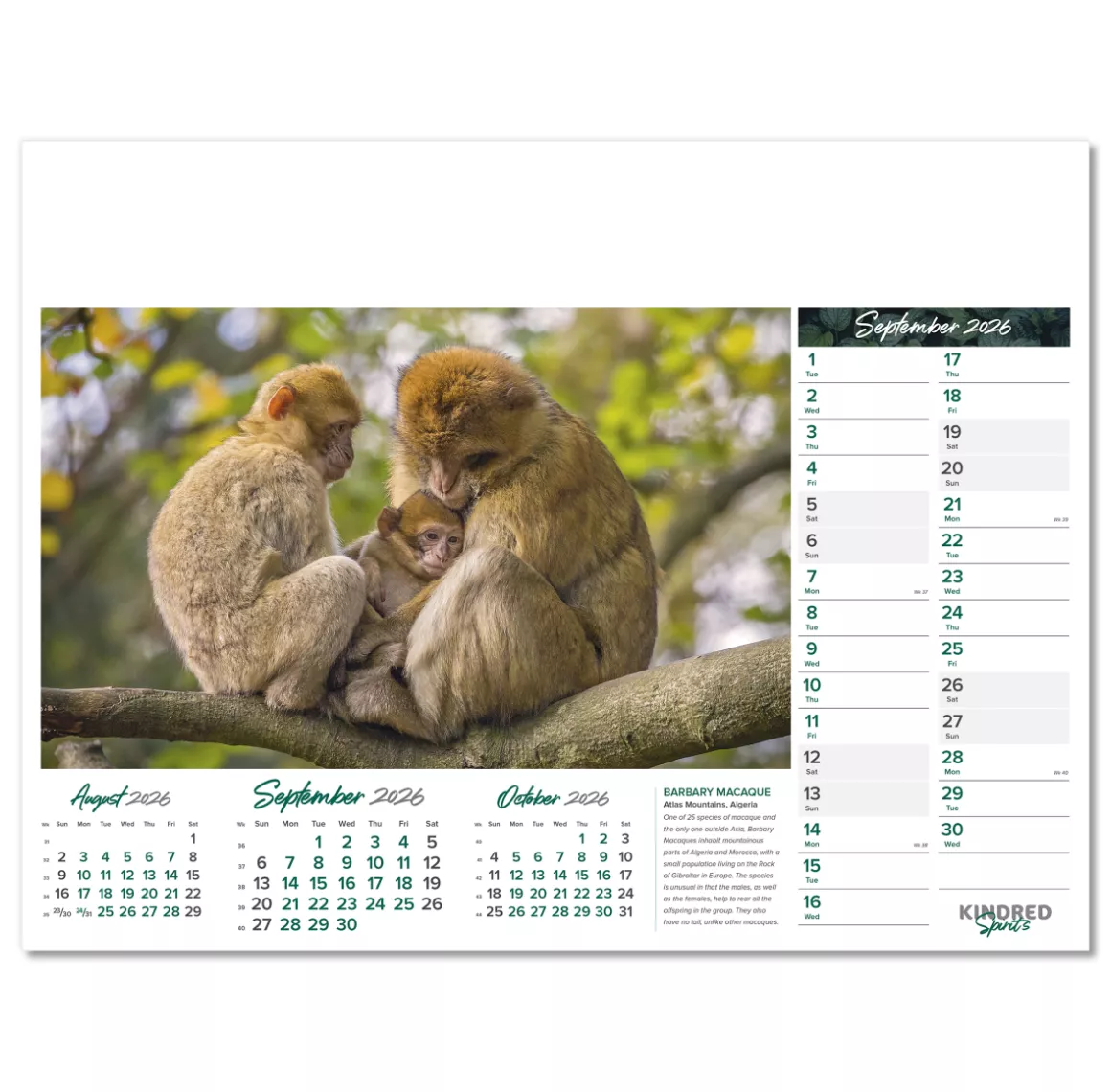 101015-kindred-spirits-wall-calendar-september.png