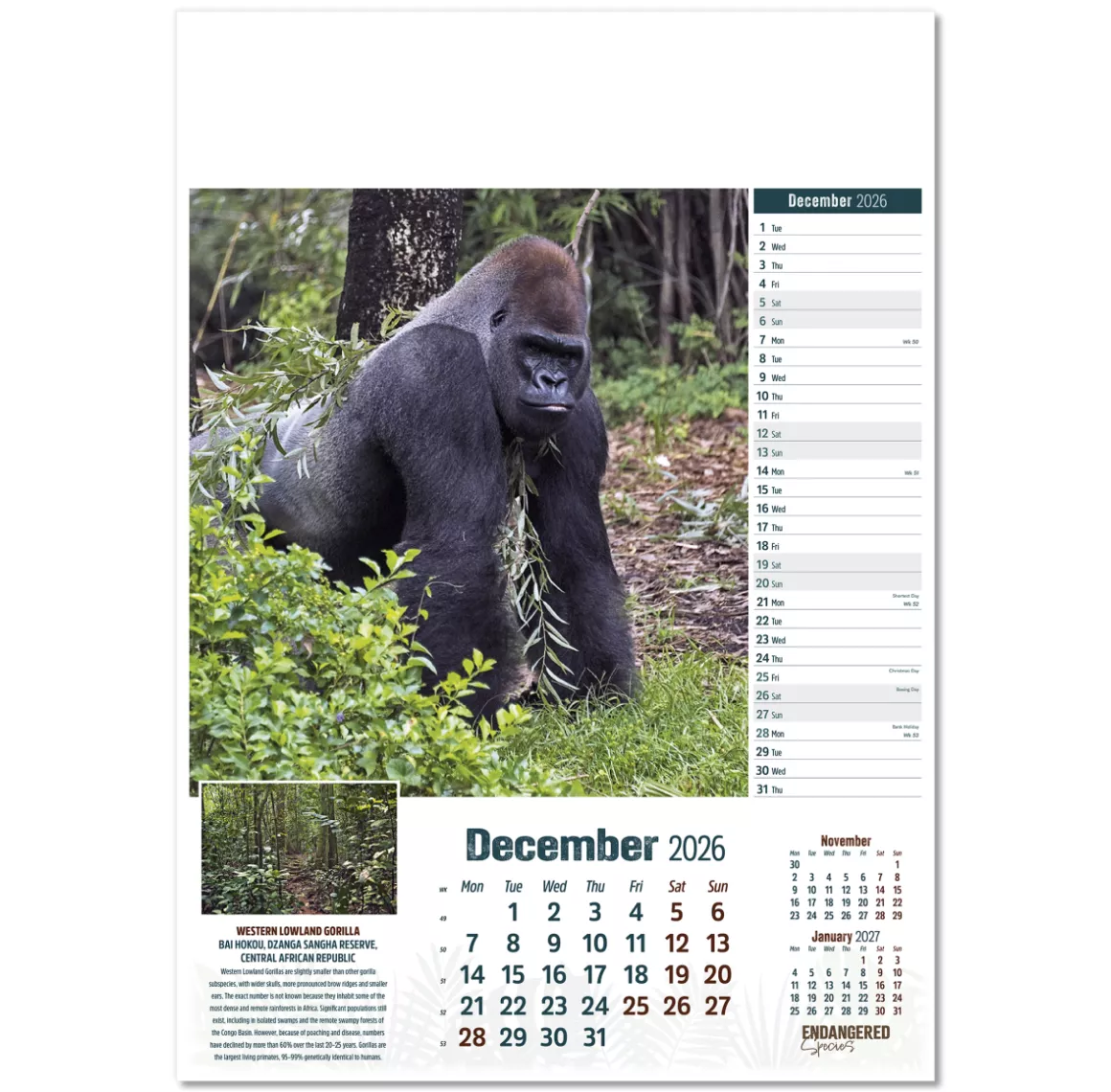 110315-endangered-species-wall-calendar-december.png