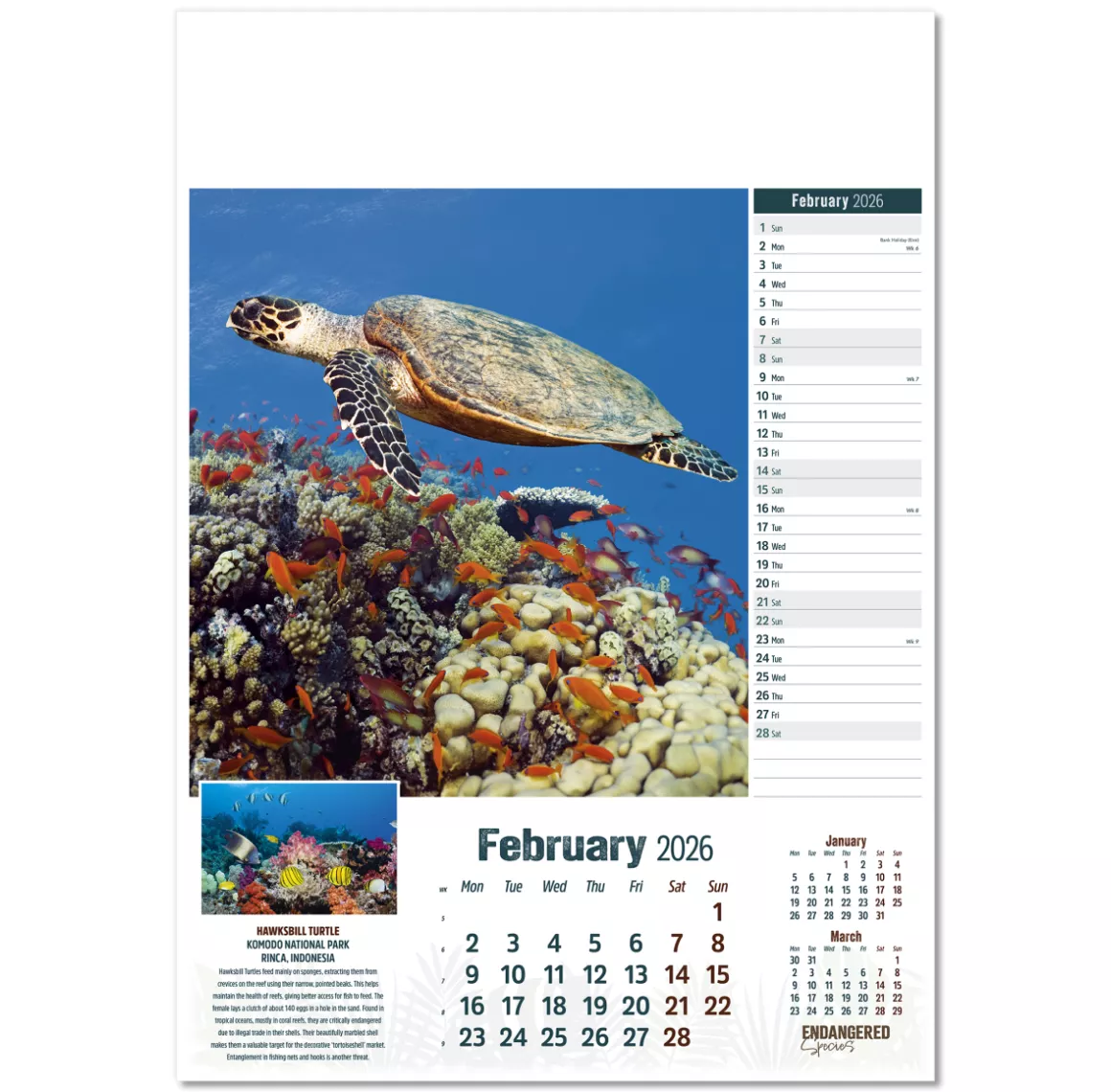 110315-endangered-species-wall-calendar-february.png