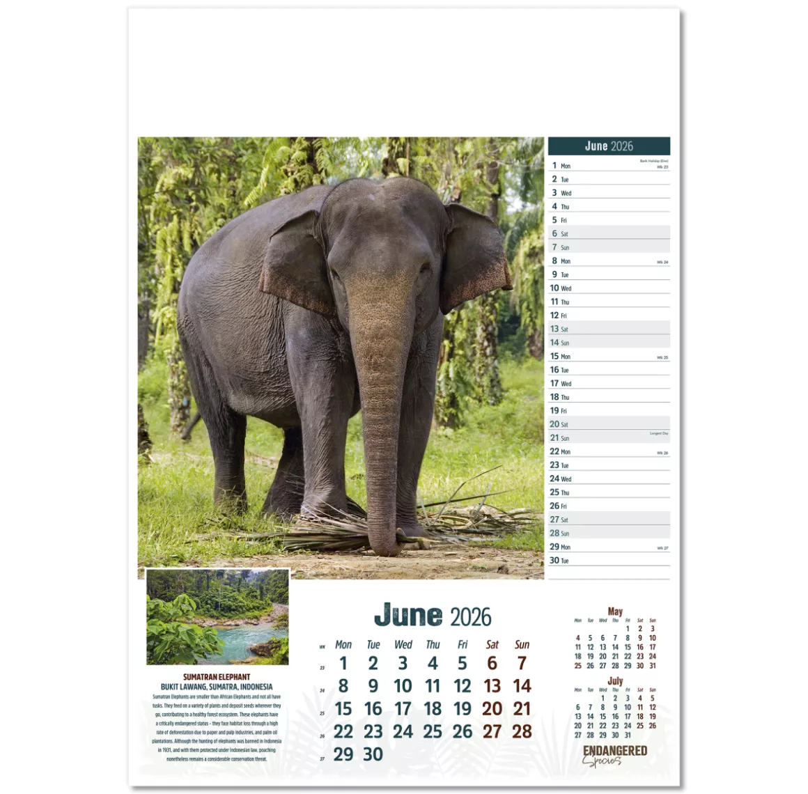 110315-endangered-species-wall-calendar-june.png