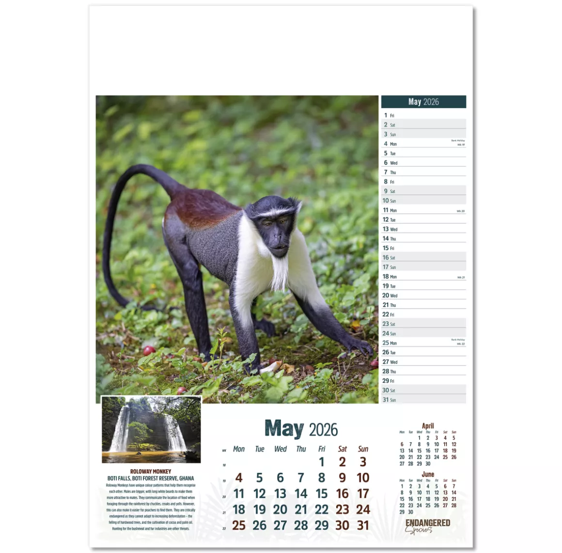 110315-endangered-species-wall-calendar-may.png
