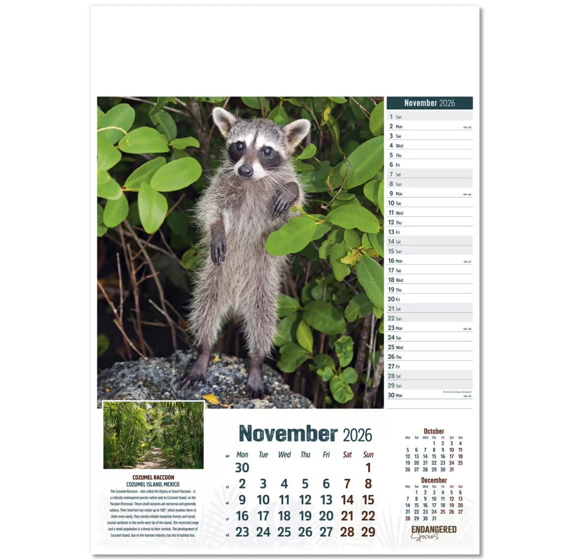 110315-endangered-species-wall-calendar-november.png