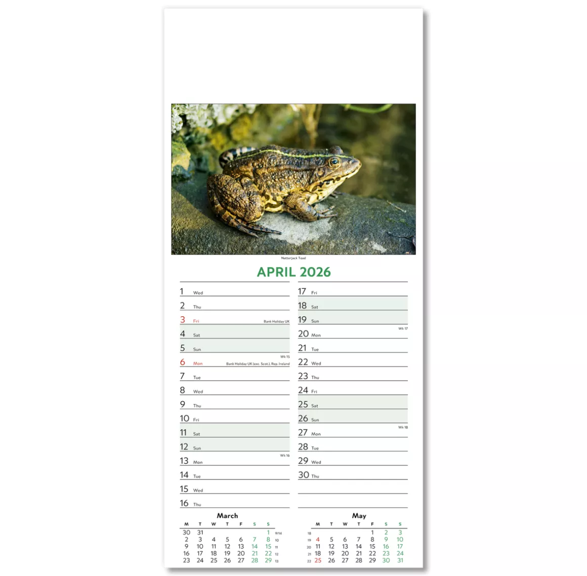 110415-wildlife-wall-calendar-april.png