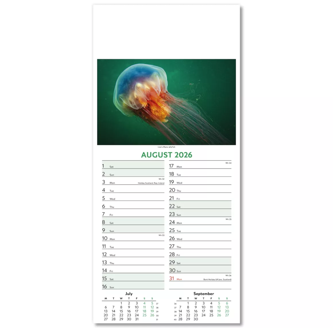 110415-wildlife-wall-calendar-august.png