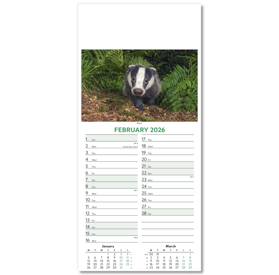 110415-wildlife-wall-calendar-february.png