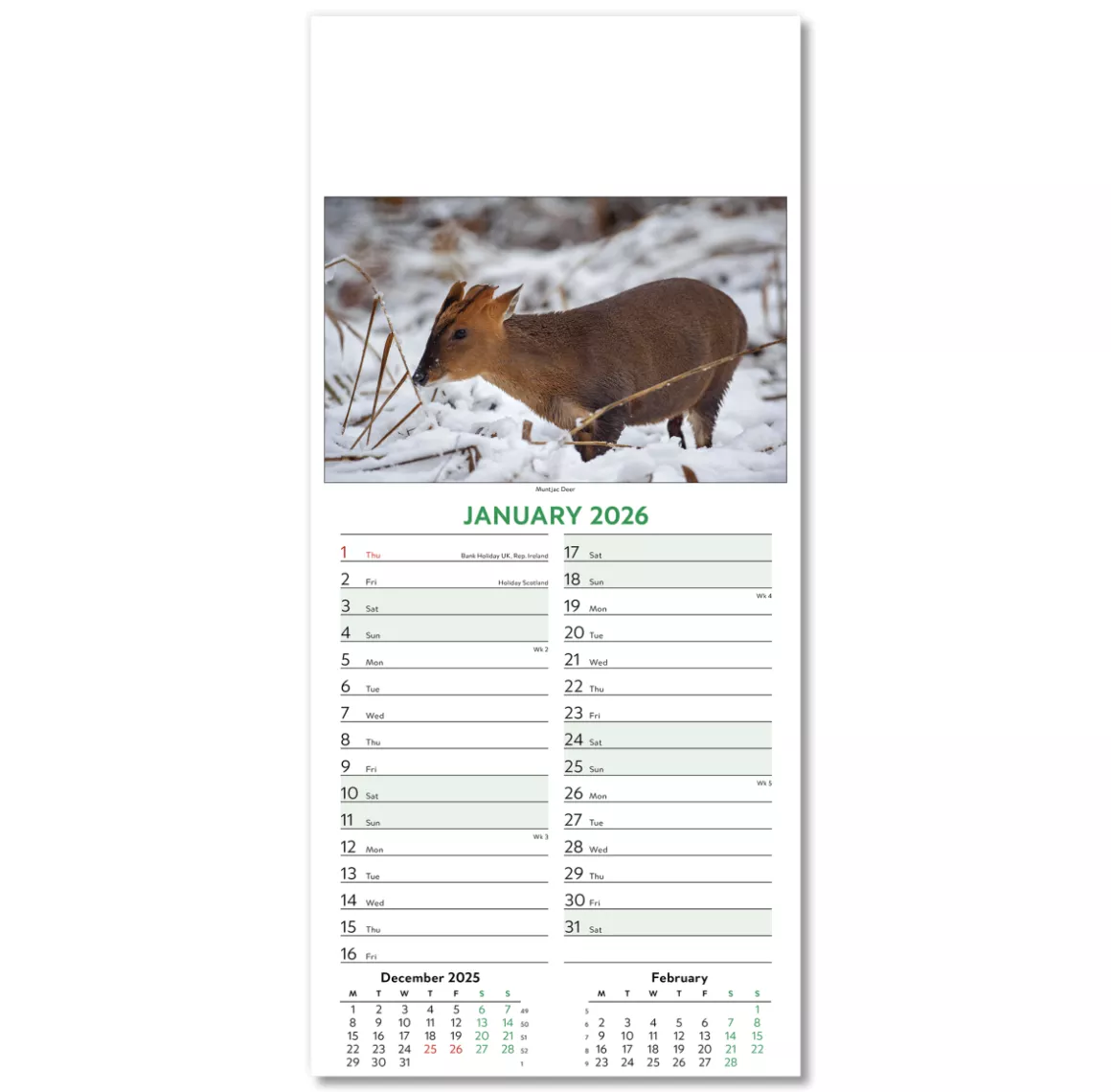 110415-wildlife-wall-calendar-january.png