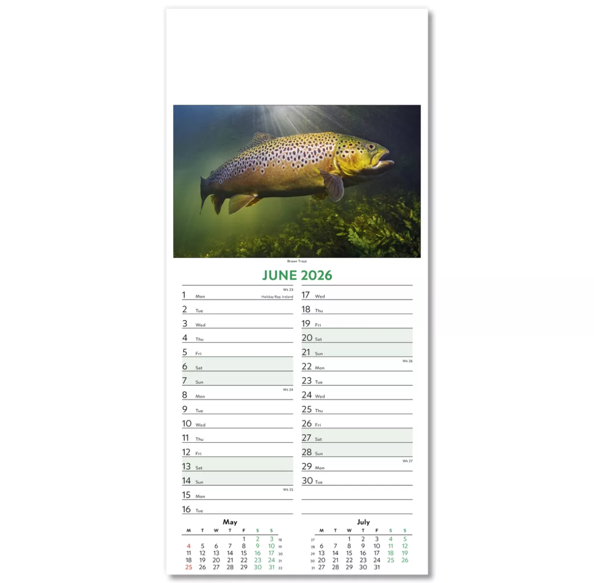 110415-wildlife-wall-calendar-june.png