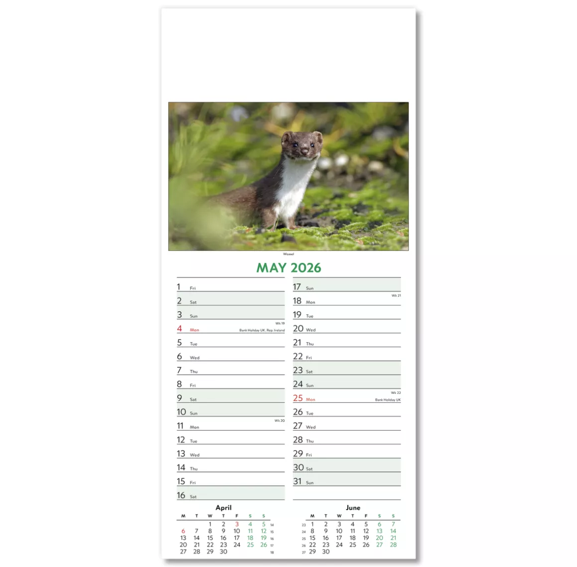 110415-wildlife-wall-calendar-may.png