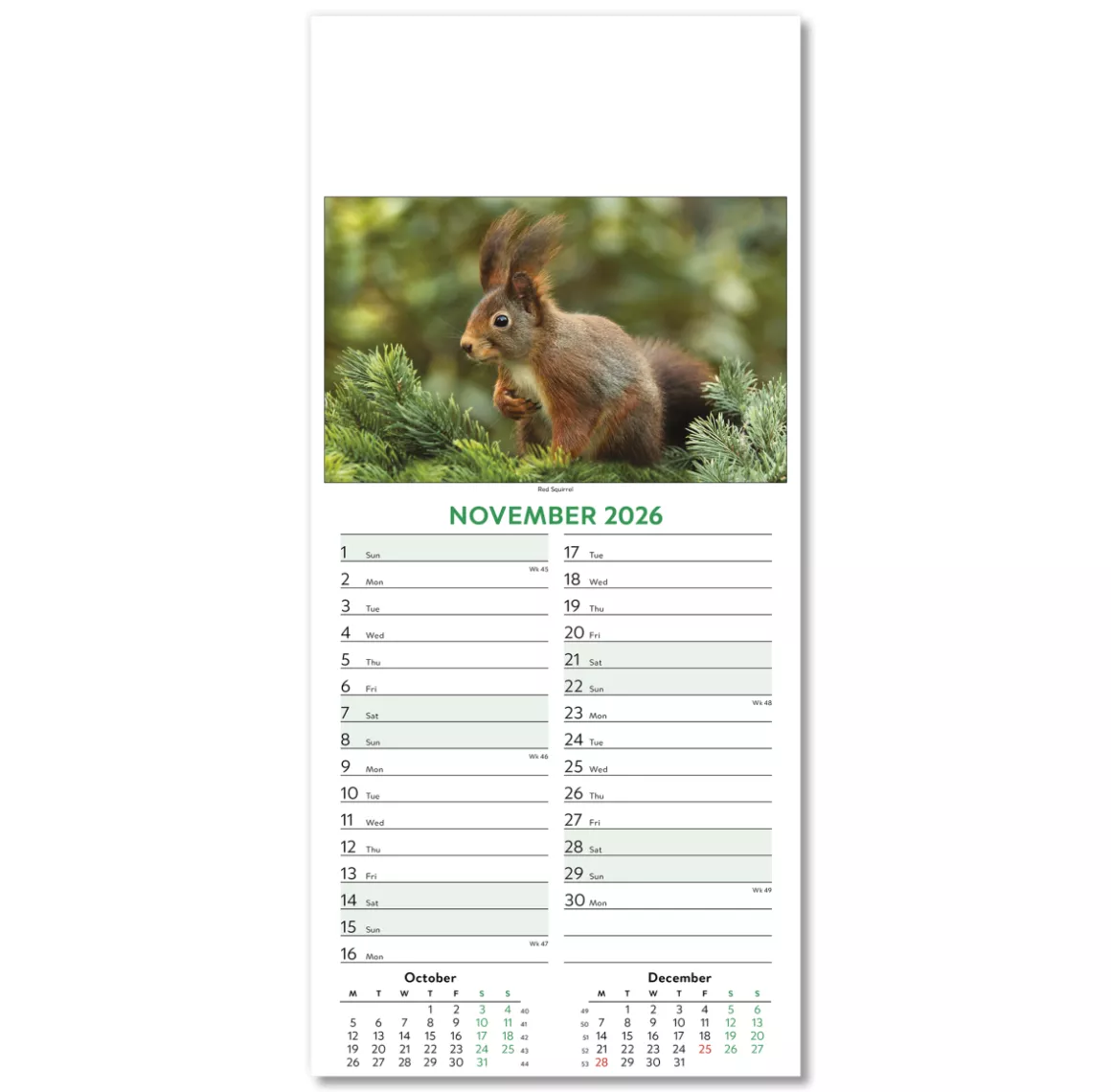 110415-wildlife-wall-calendar-november.png