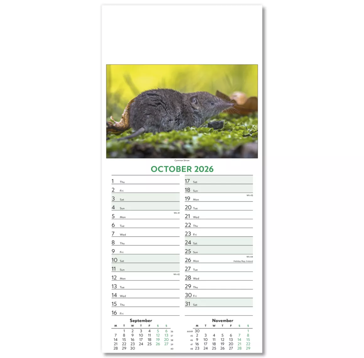 110415-wildlife-wall-calendar-october.png