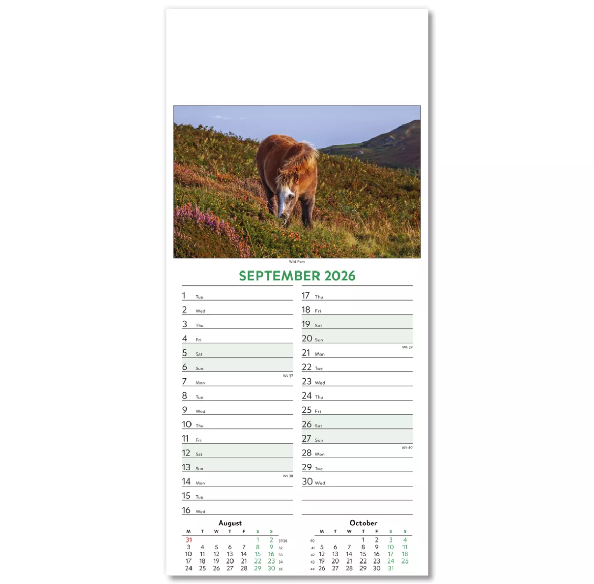 110415-wildlife-wall-calendar-september.png