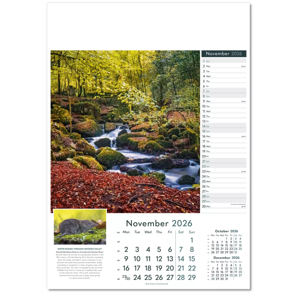 110515-wonders-of-nature-wall-calendar-november.png