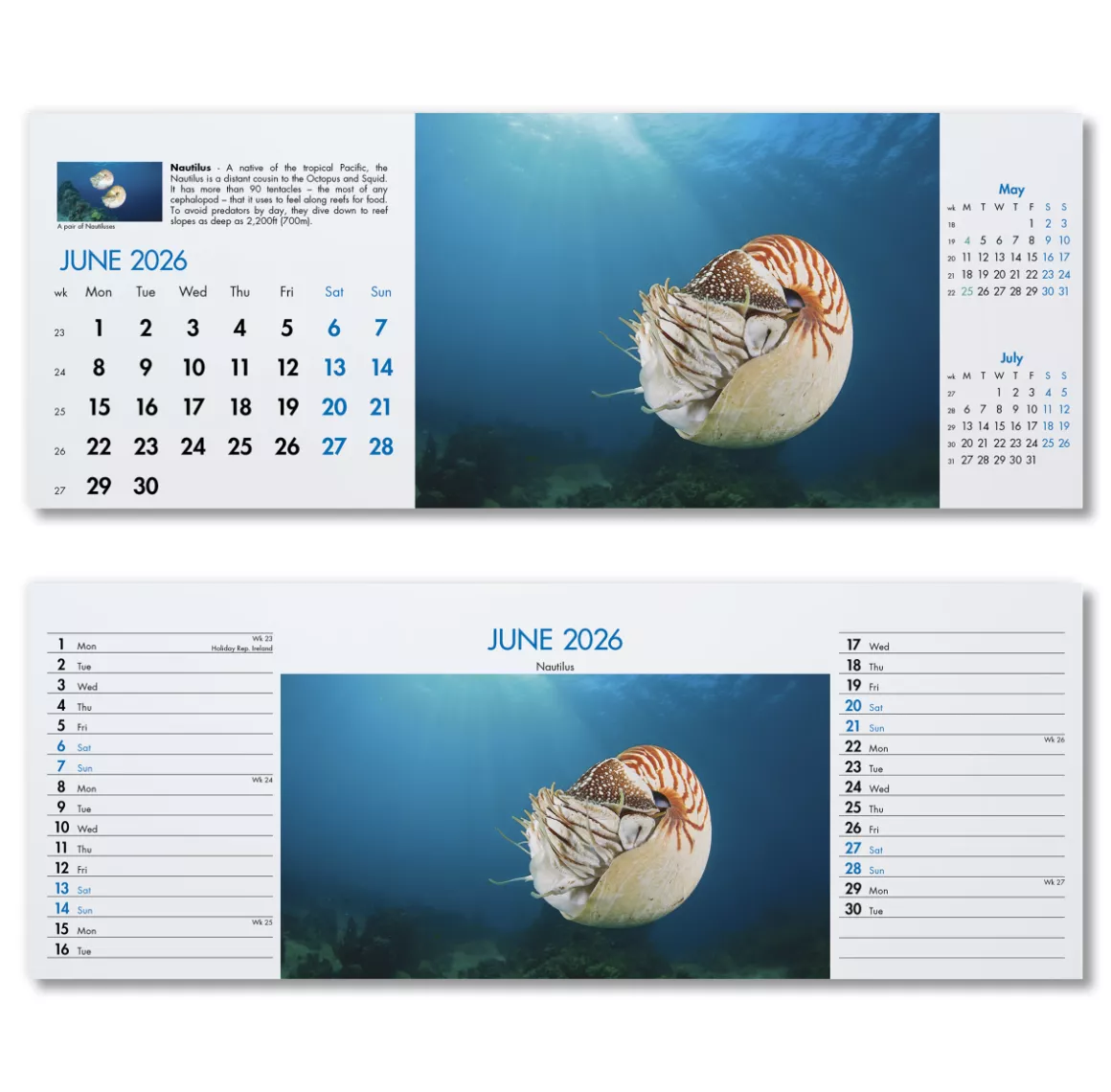 200115-blue-planet-desk-calendar-june.png