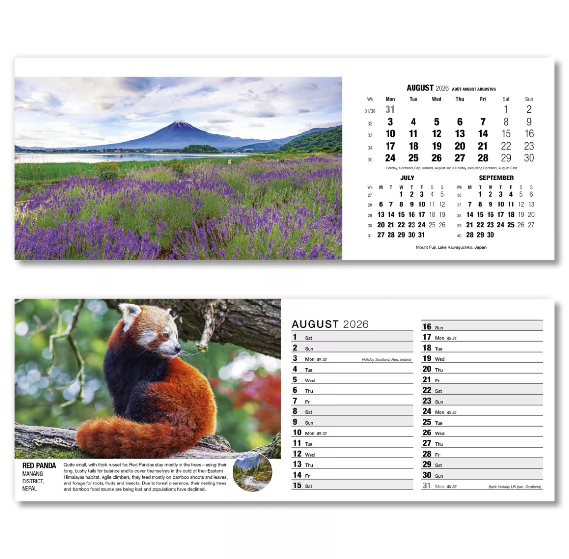 201015-our-world-in-trust-desk-calendar-august.png