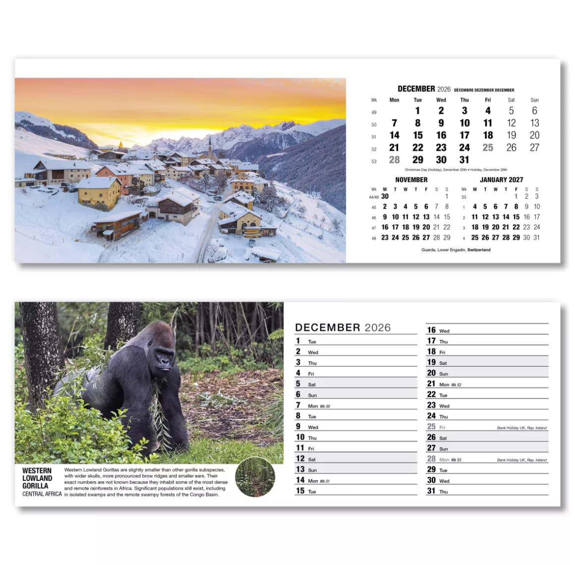 201015-our-world-in-trust-desk-calendar-december.png