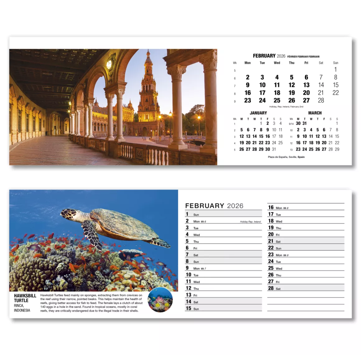 201015-our-world-in-trust-desk-calendar-february.png
