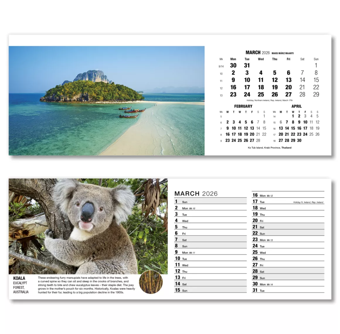 201015-our-world-in-trust-desk-calendar-march.png