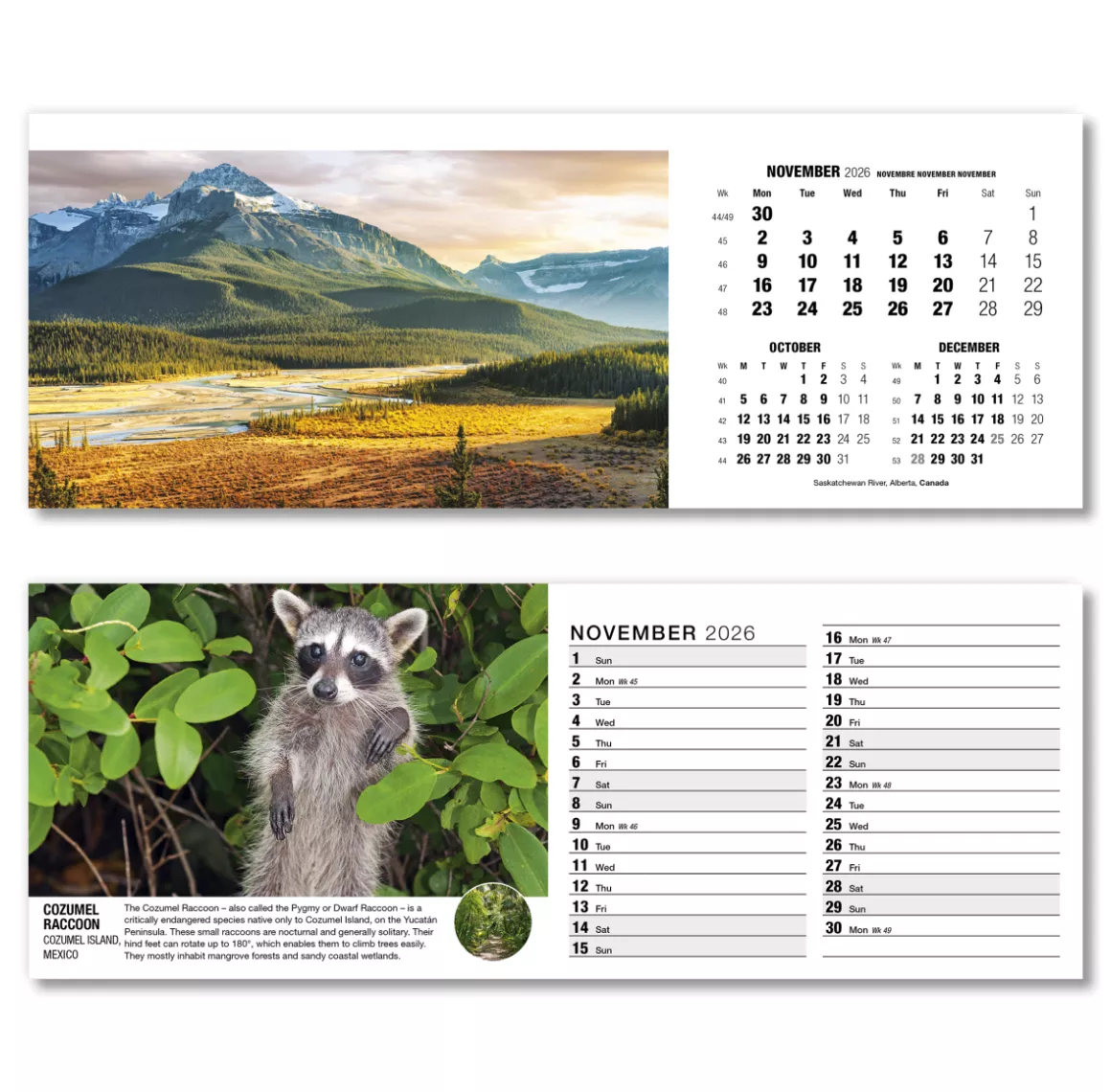 201015-our-world-in-trust-desk-calendar-november.png
