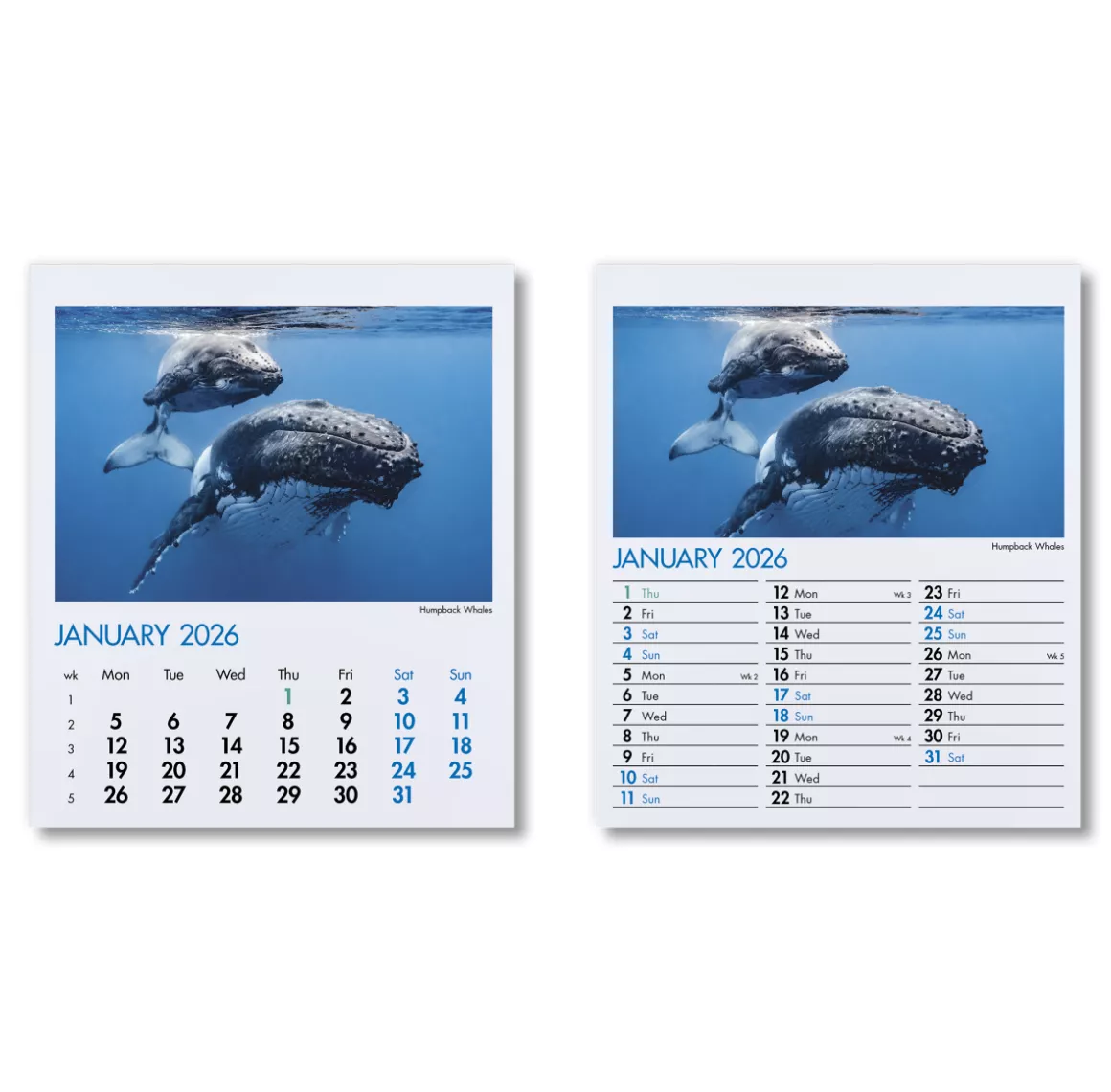 300015-blue-planet-mini-desk-calendar-january.png