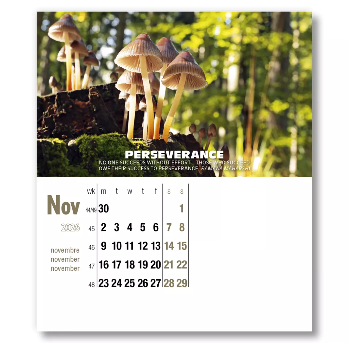 400015-inspirations-cd-calendar-november.png