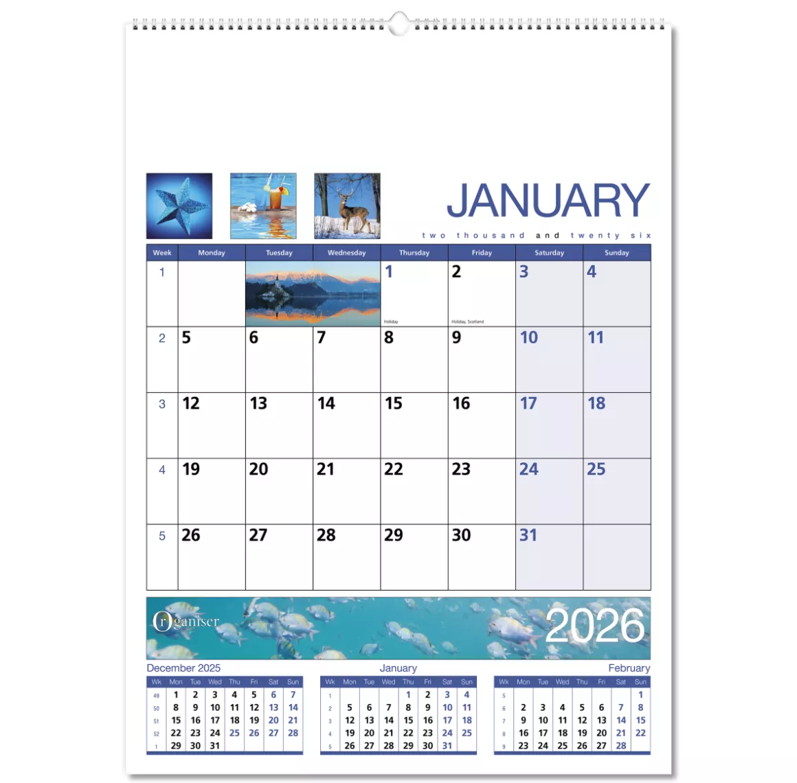 601515-organiser-wall-calendar-january-wiro.png