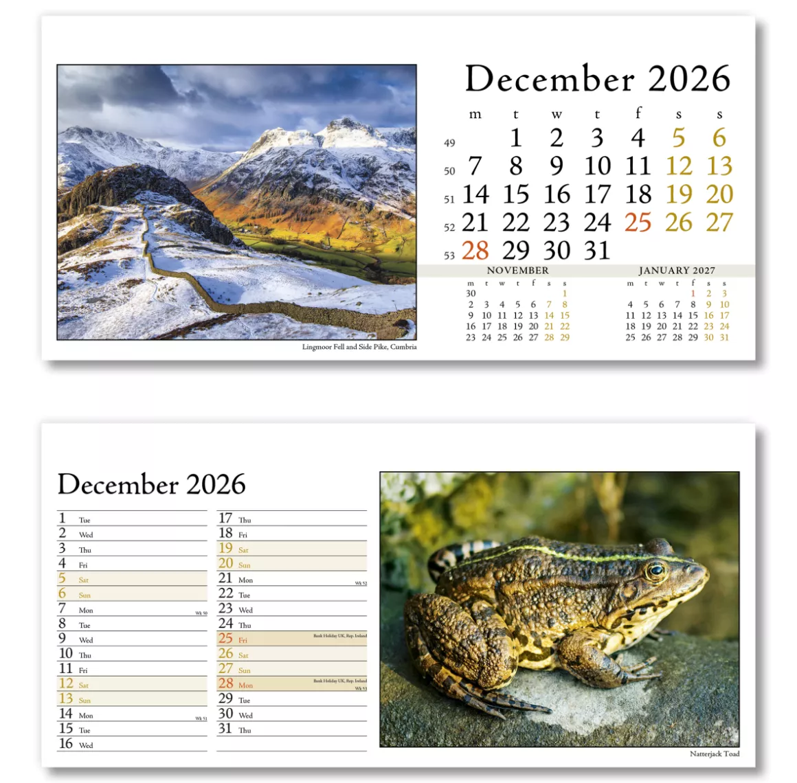804715-photo-life-desk-calendar-december.png