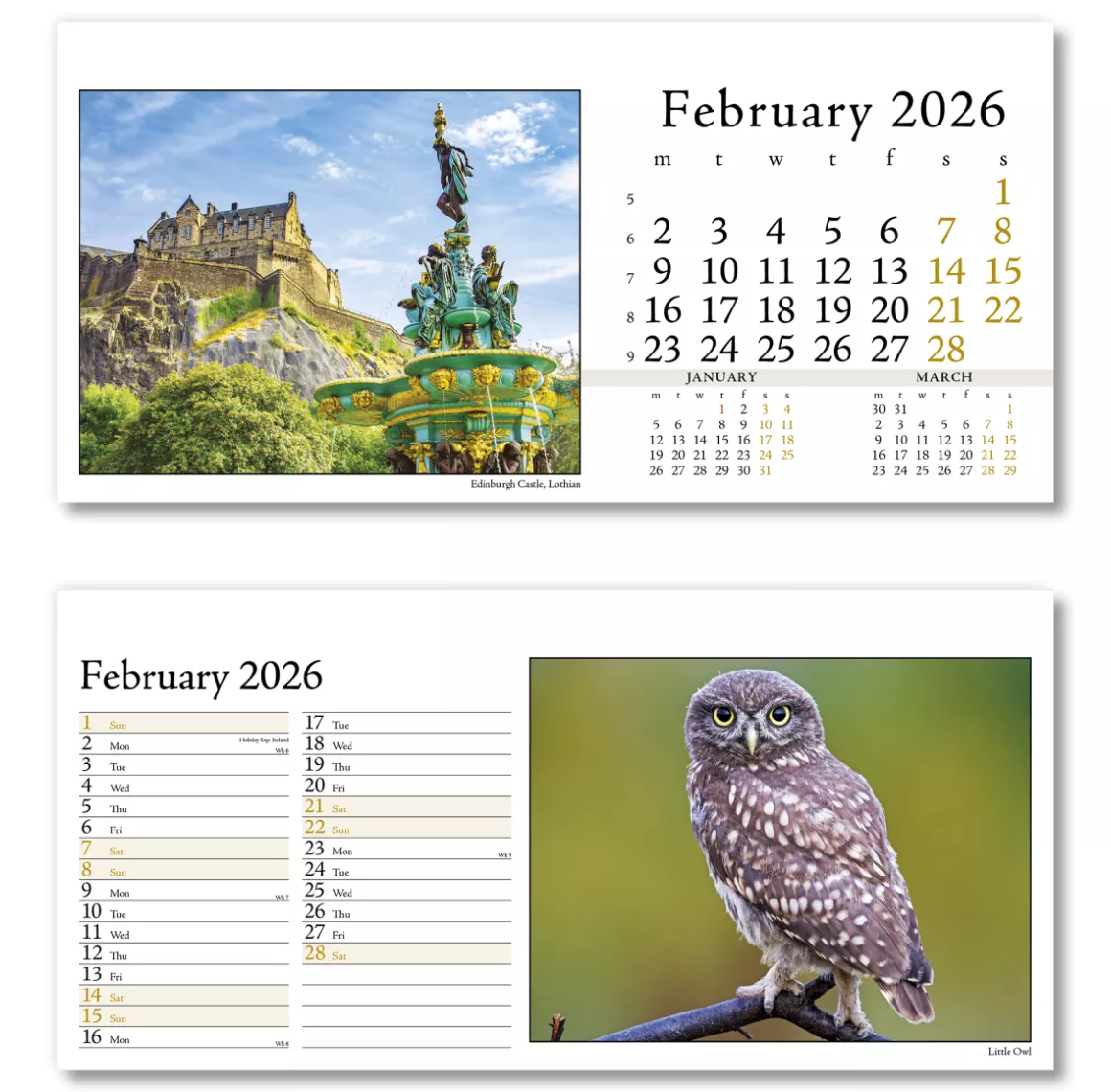 804715-photo-life-desk-calendar-february.png