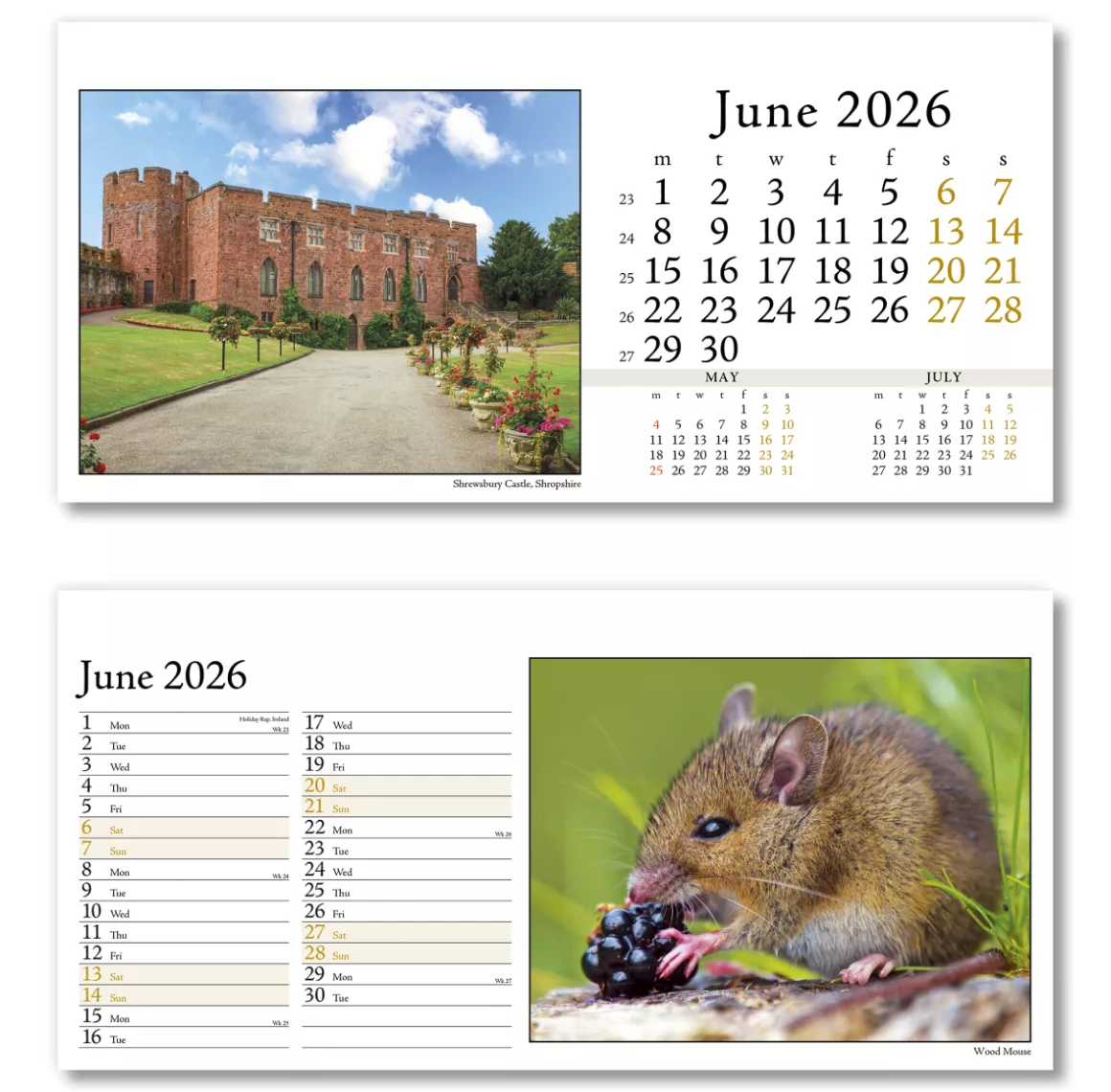 804715-photo-life-desk-calendar-june.png
