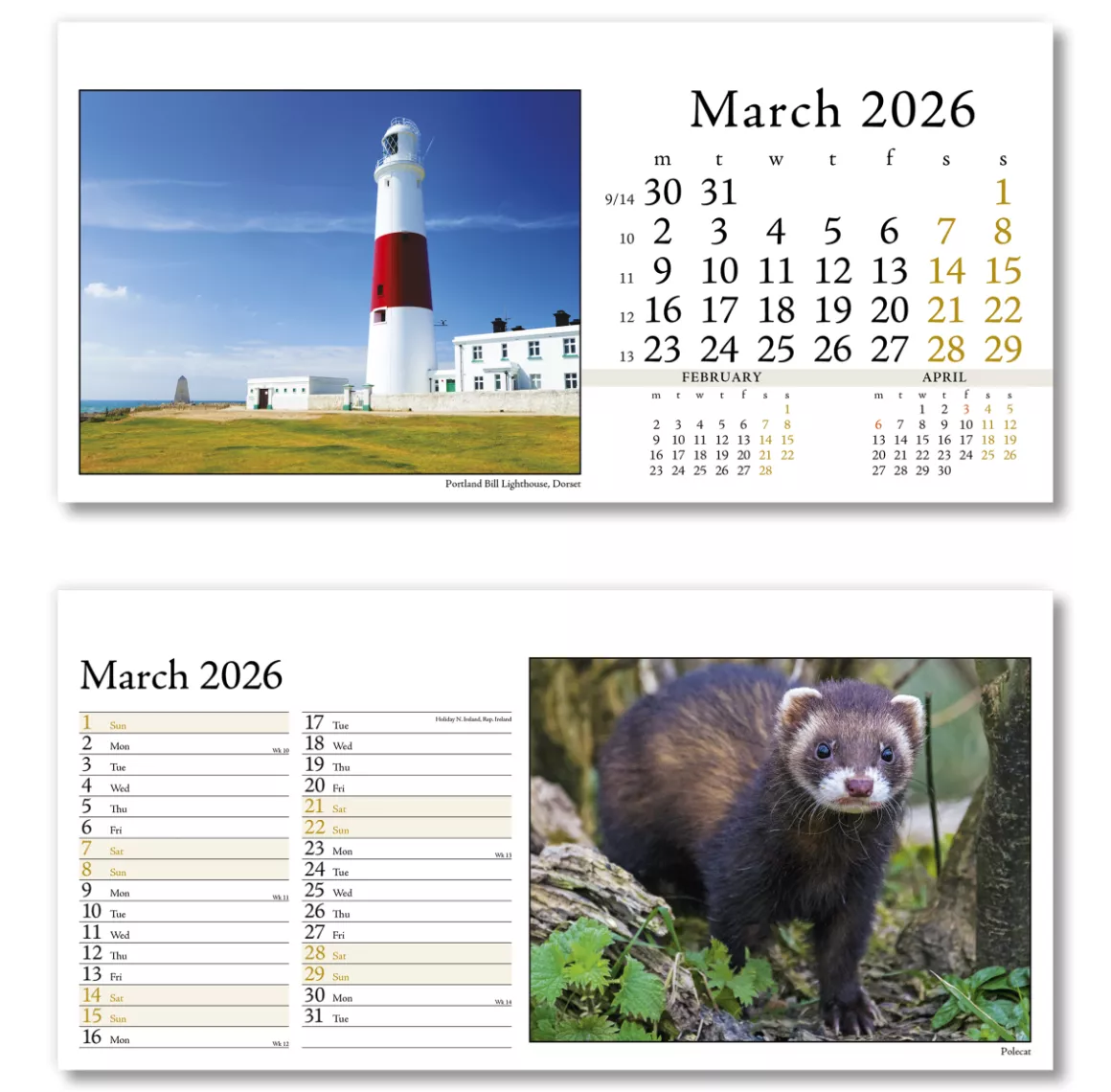 804715-photo-life-desk-calendar-march.png