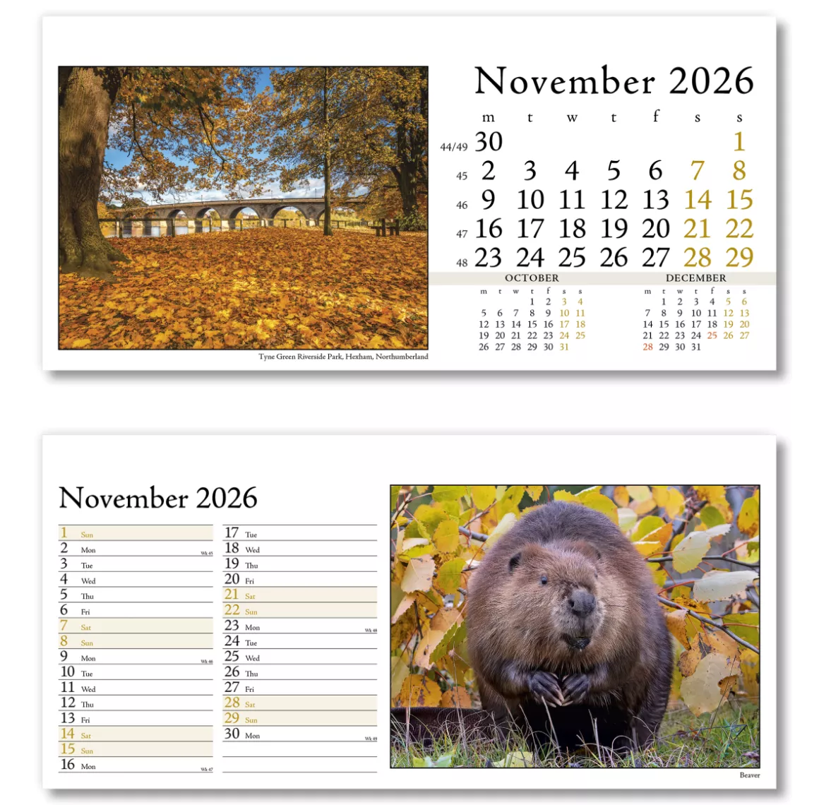 804715-photo-life-desk-calendar-november.png