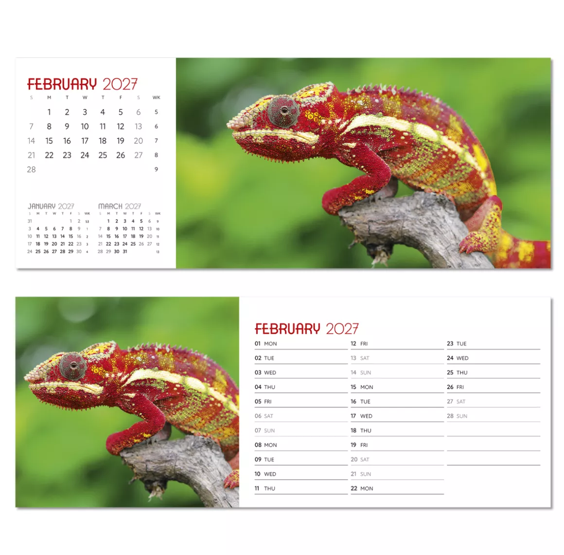 NDL015-a-touch-of-colour-desk-calendar-february.png