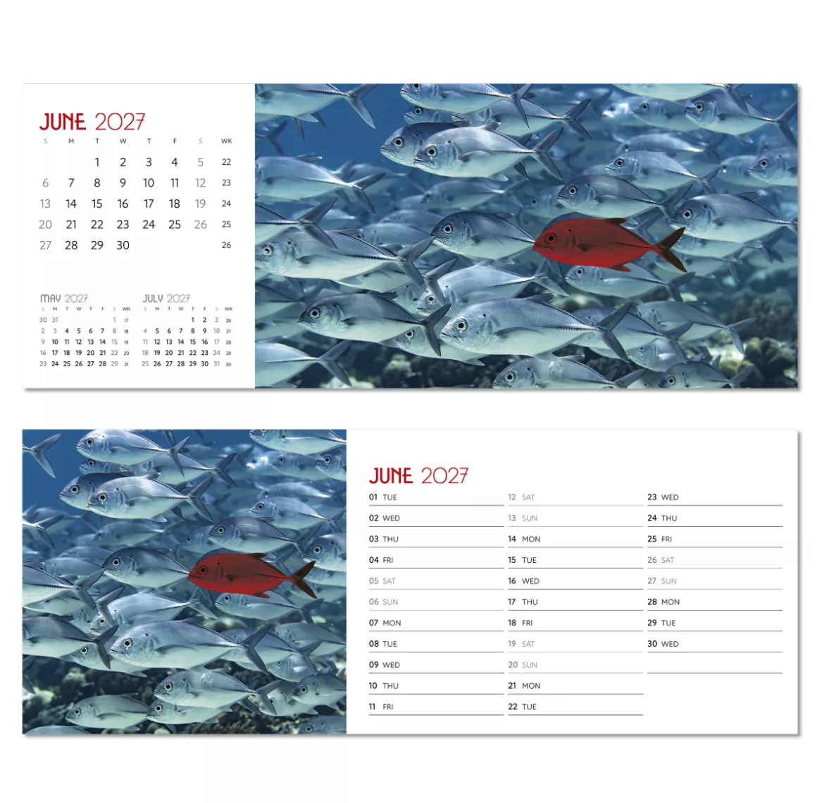 NDL015-a-touch-of-colour-desk-calendar-june.png