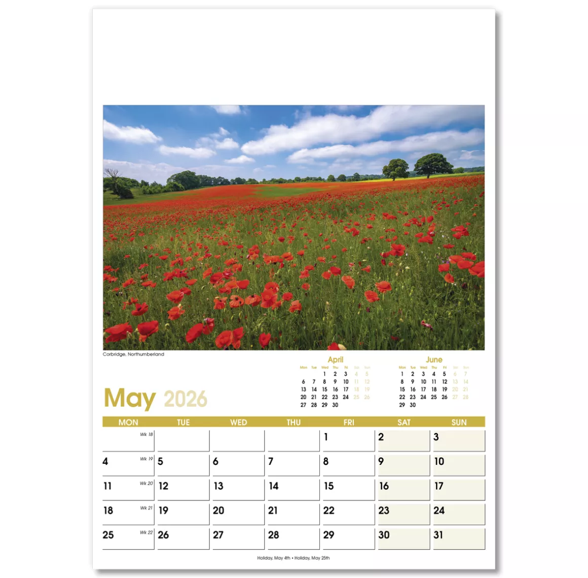 NWO021-aspects-optima-wall-calendar-may.png