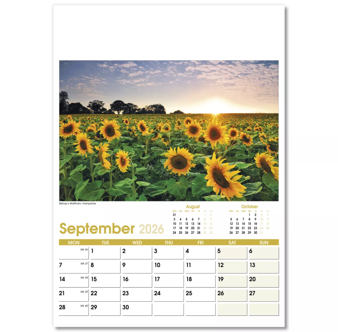 NWO021-aspects-optima-wall-calendar-september.png