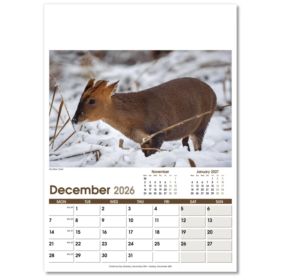 NWO053-rural-life-optima-wall-calendar-december.png