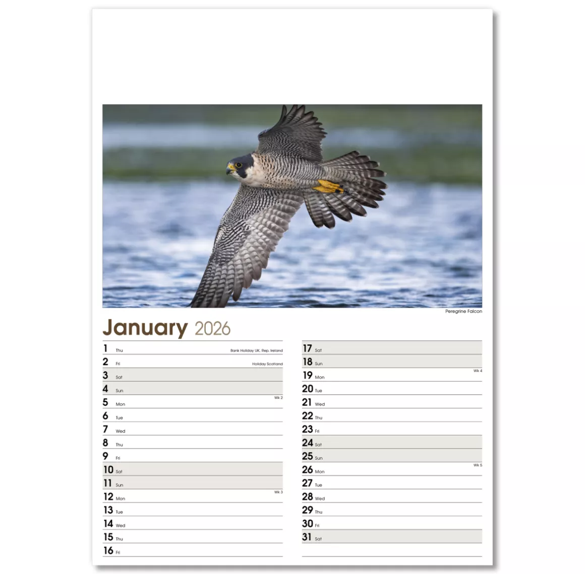 NWO053-rural-life-optima-wall-calendar-january-memo.png