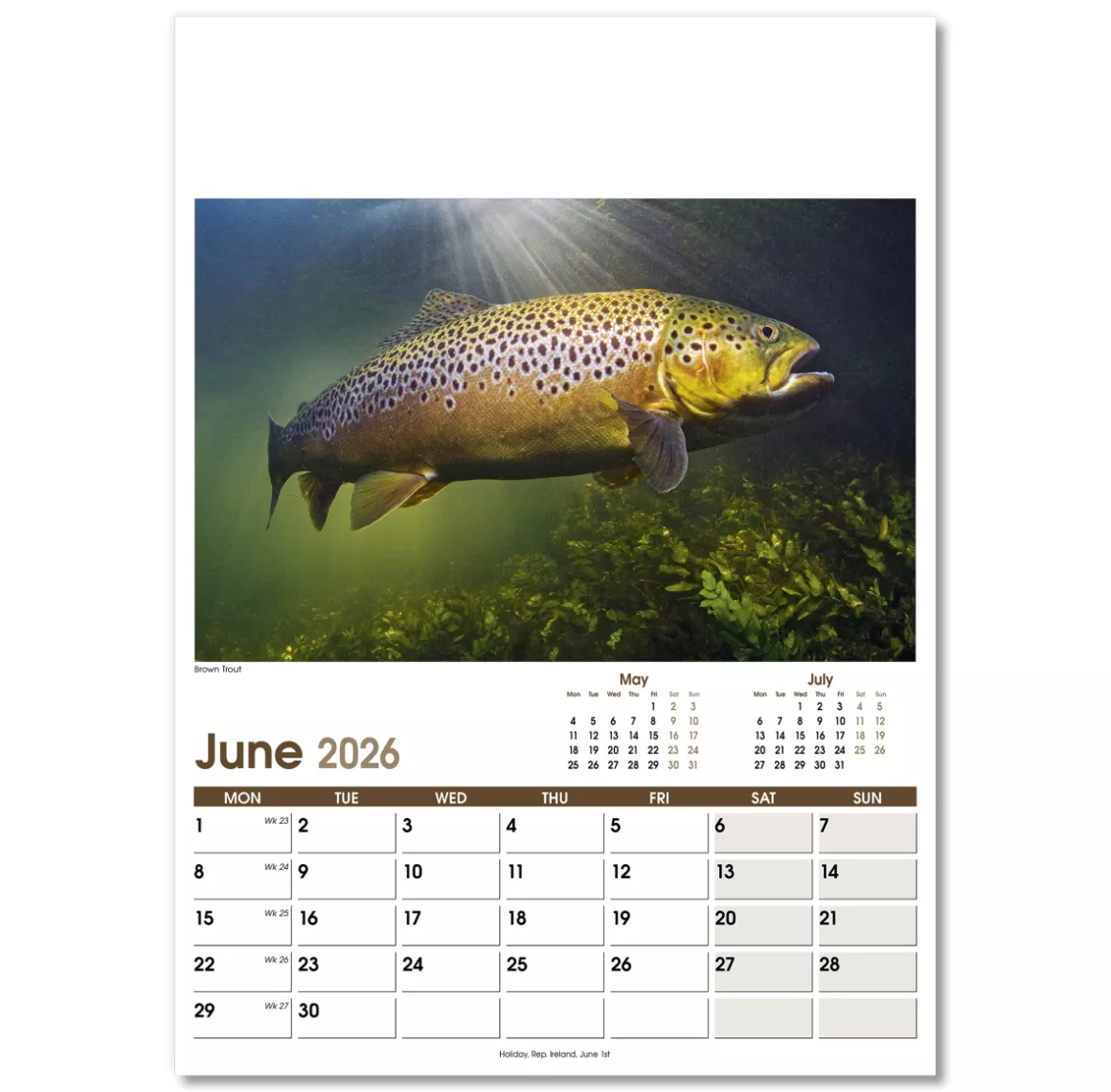 NWO053-rural-life-optima-wall-calendar-june.png