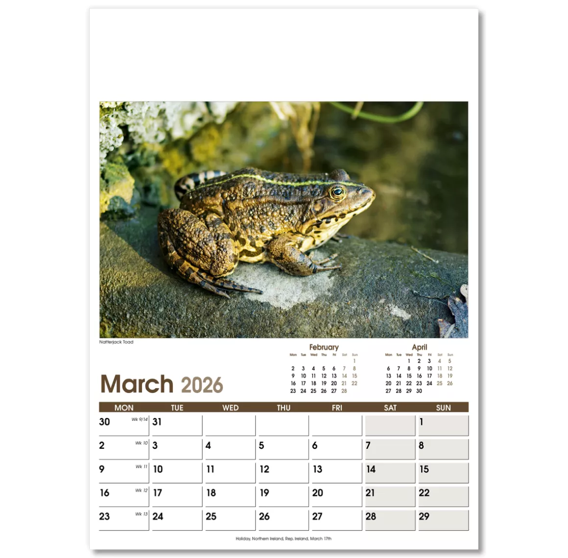 NWO053-rural-life-optima-wall-calendar-march.png