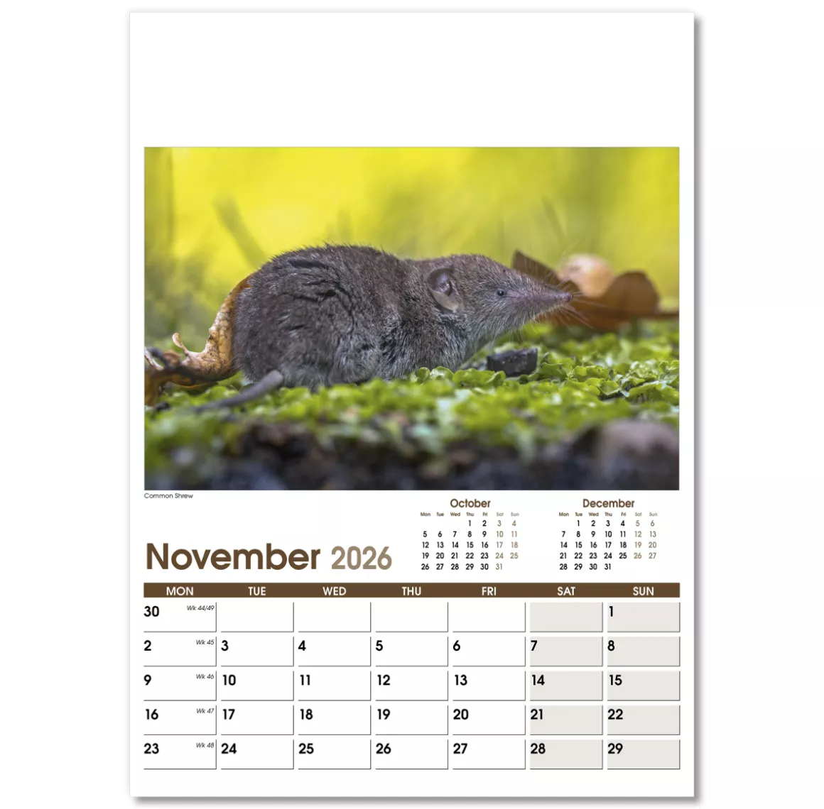 NWO053-rural-life-optima-wall-calendar-november.png