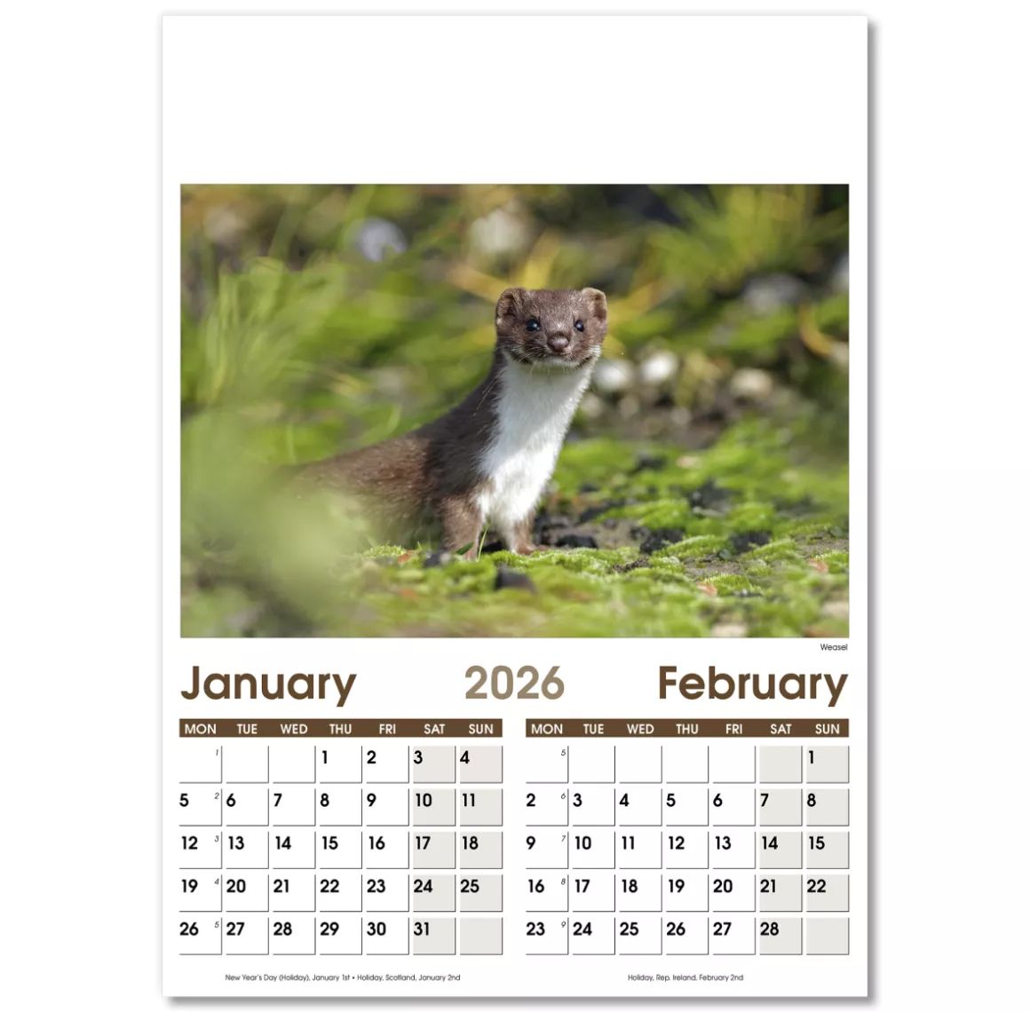 NWO057-7-leaf-rural-life-optima-wall-calendar-jan-feb.png