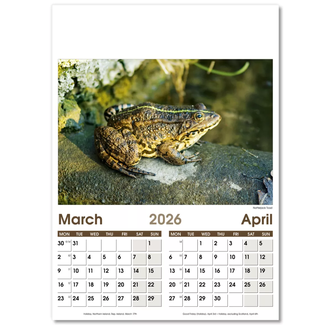 NWO057-7-leaf-rural-life-optima-wall-calendar-mar-apr.png